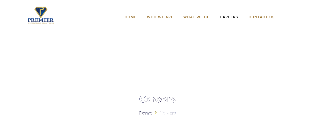 Premier Enterprise Solutions